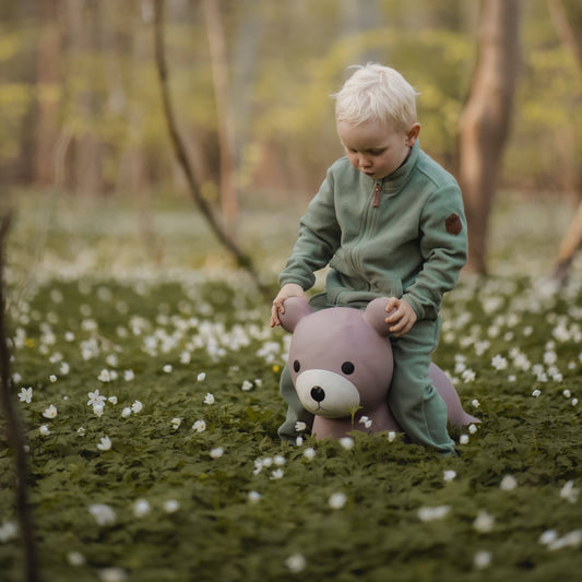 Bouncing Bear Hopper Toy for Toddlers Age 2+ – Mucky Wolf