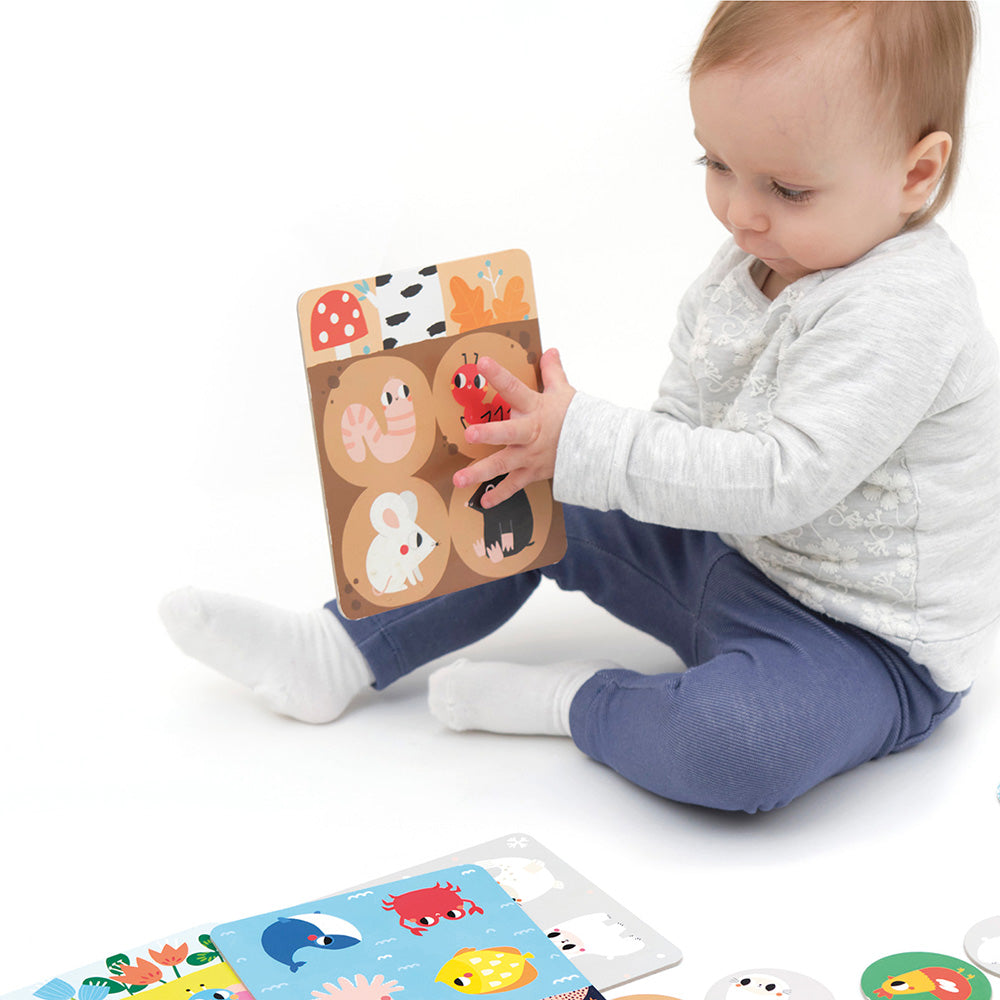 Banana Panda Habitat Bingo – Animal Matching Game for Ages 2+