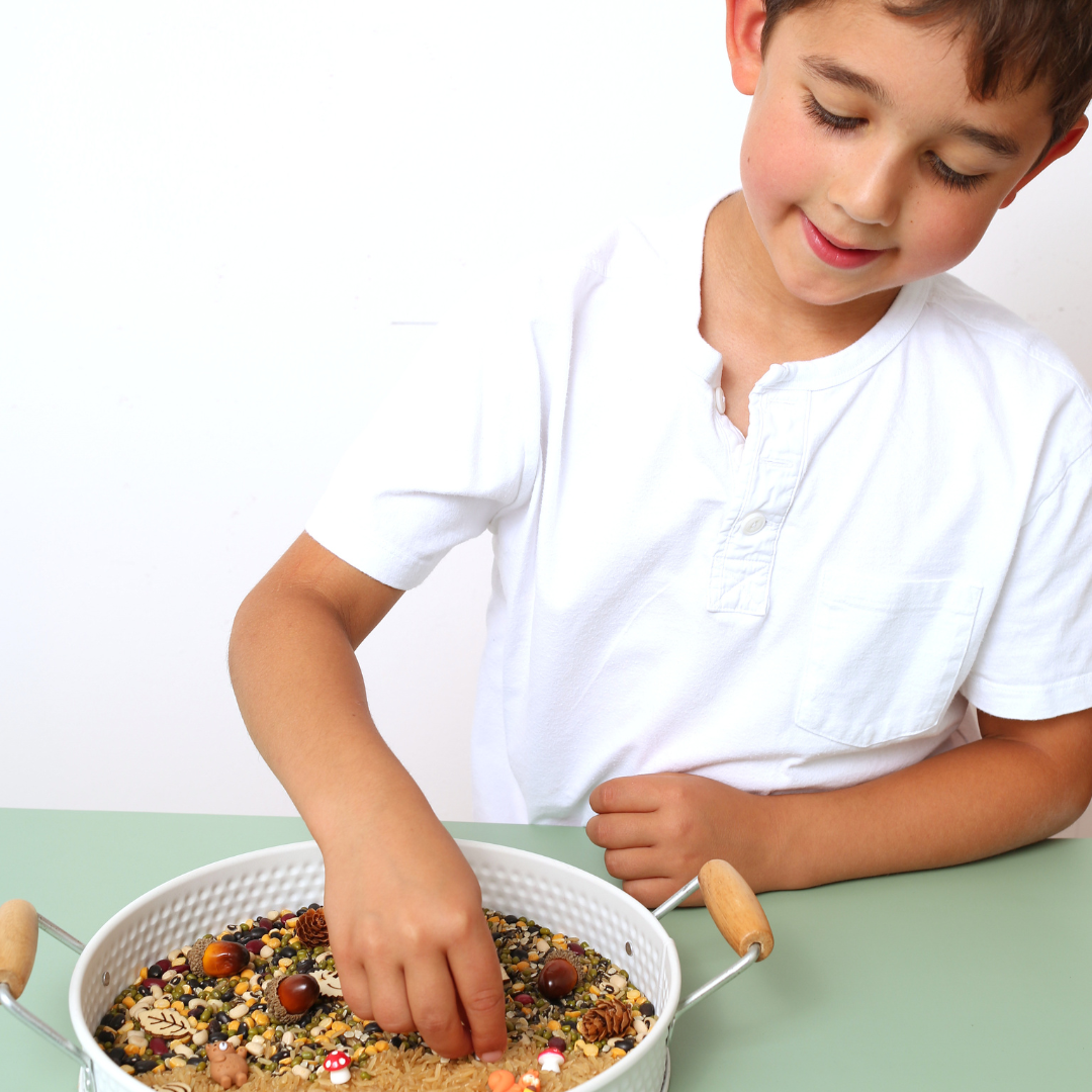 My Mini Maker Woodland Activity Kit