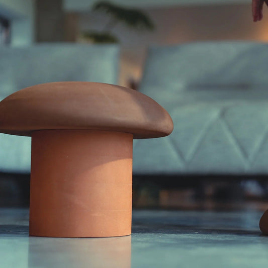 MOES Forest Collection - Mushrooms