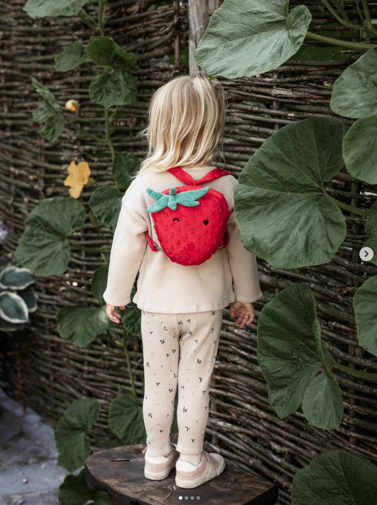 Hoppstar Rookie Strawbella Digital Camera + Fruit Bag Bundle