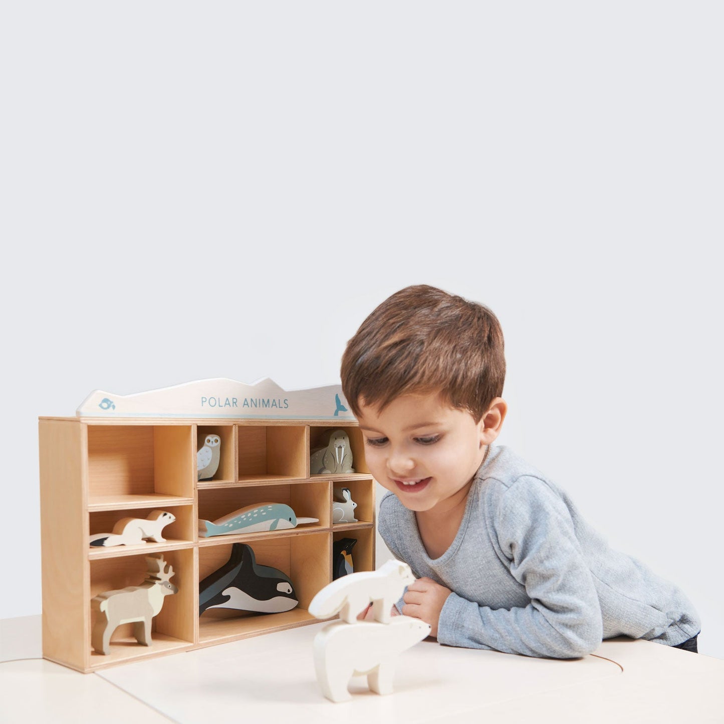 Wooden Polar Toy Animals With Display Shelf Unit - Tender Leaf Toys
