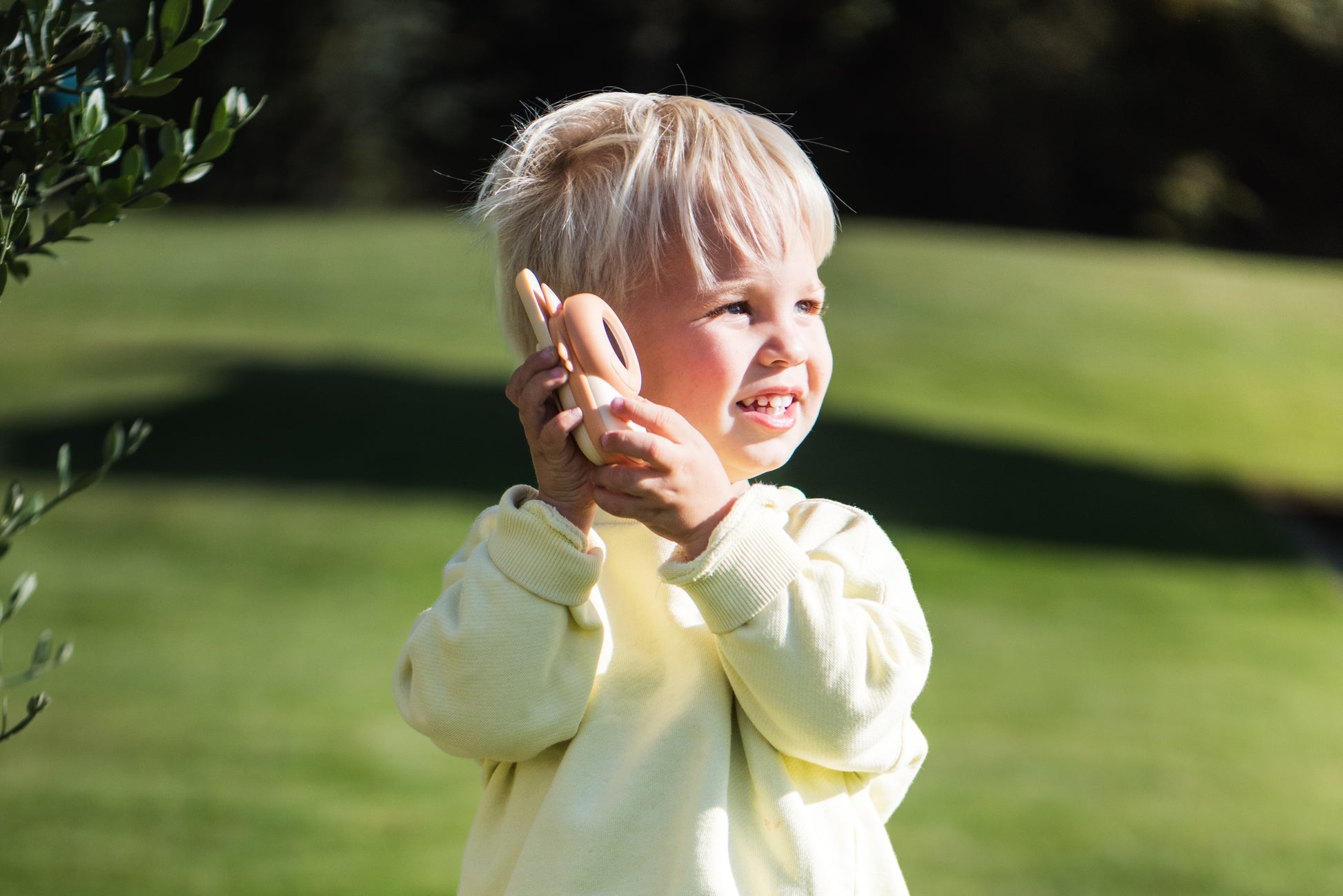 Zoo Walkie Talkie Fox x Fox