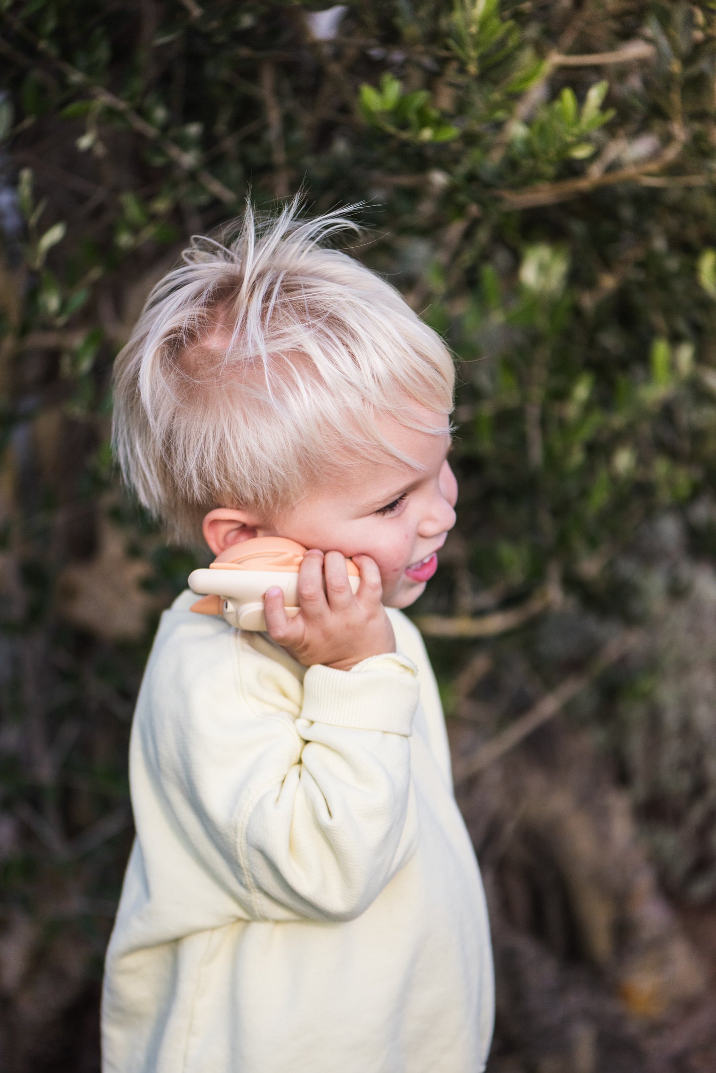 Zoo Walkie Talkie Fox x Fox