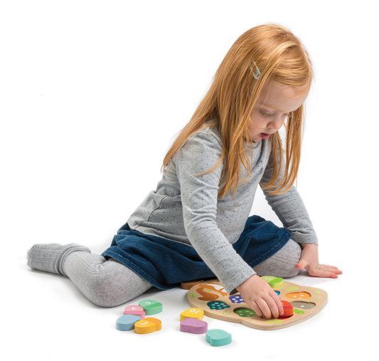 Wooden Acorn Counting Toy