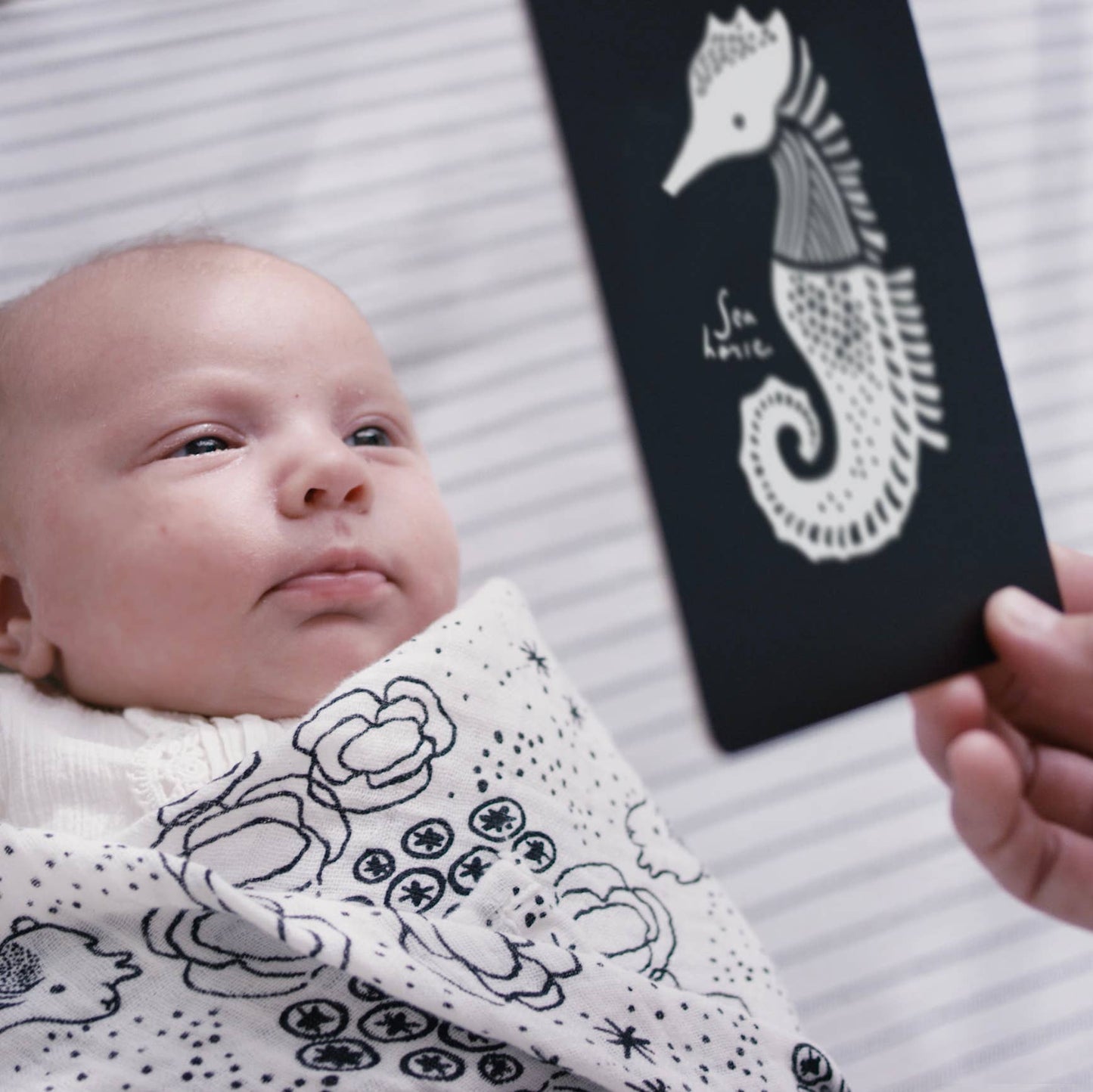 Organic Newborn Gift Set - Ocean Theme