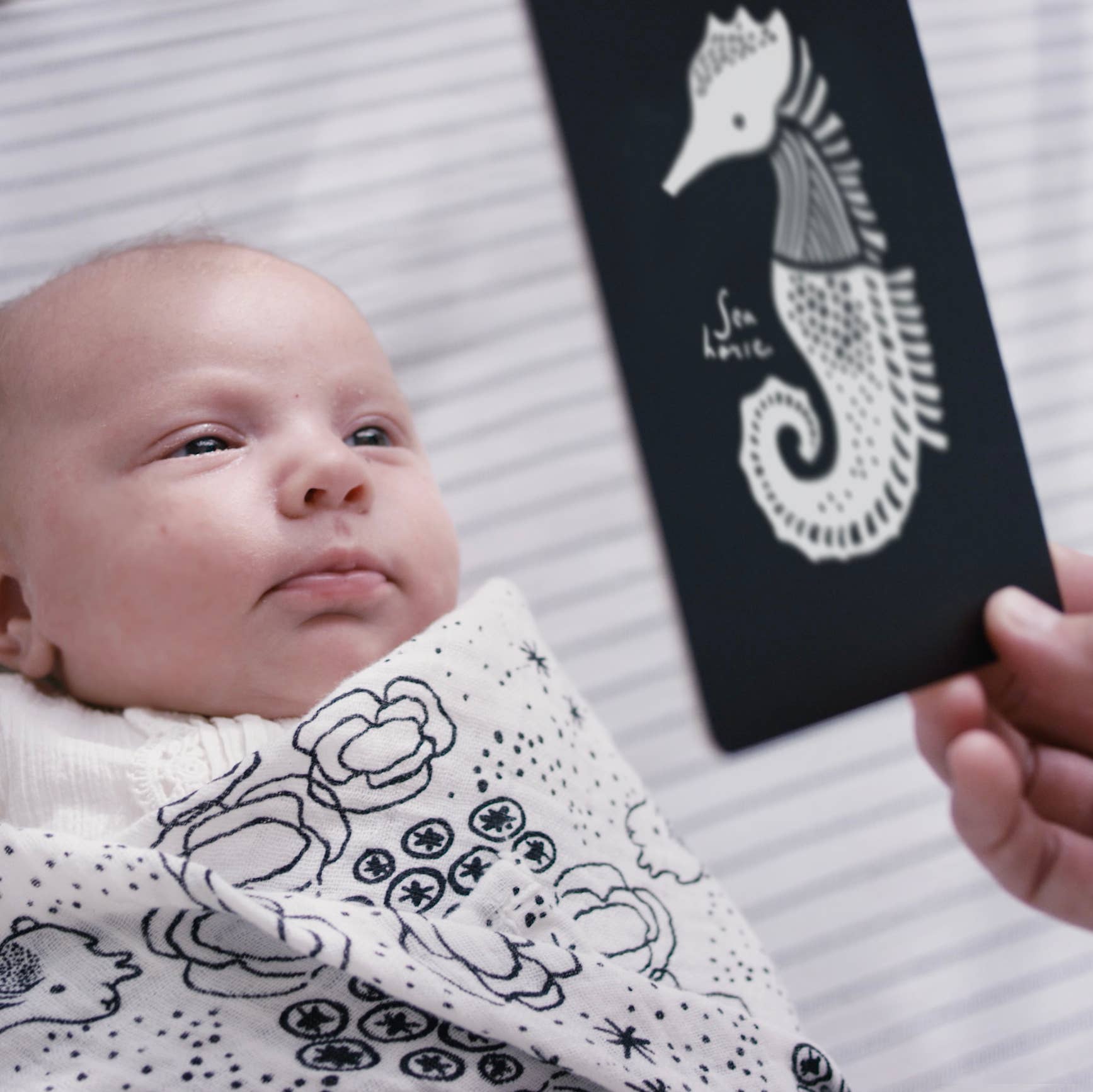 Organic Newborn Gift Set - Ocean Theme