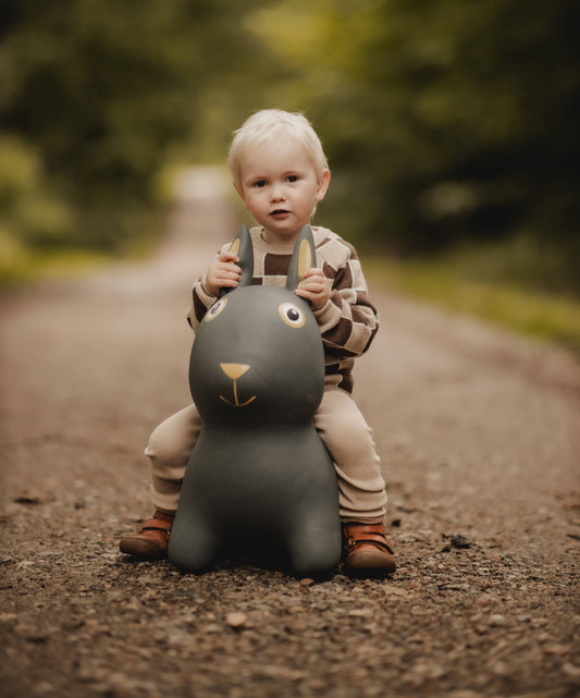 Bouncing Rabbit Hopper Toy