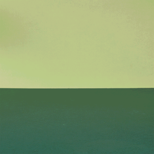 13 Farmyard Animals Shelf Set - Wooden Farm Toys | Tender Leaf Toys