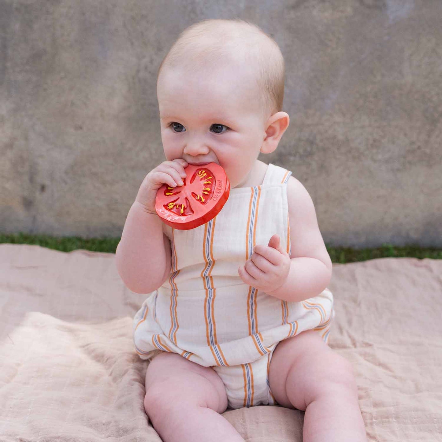 Baby holding a red tomato outdoors on a blanket