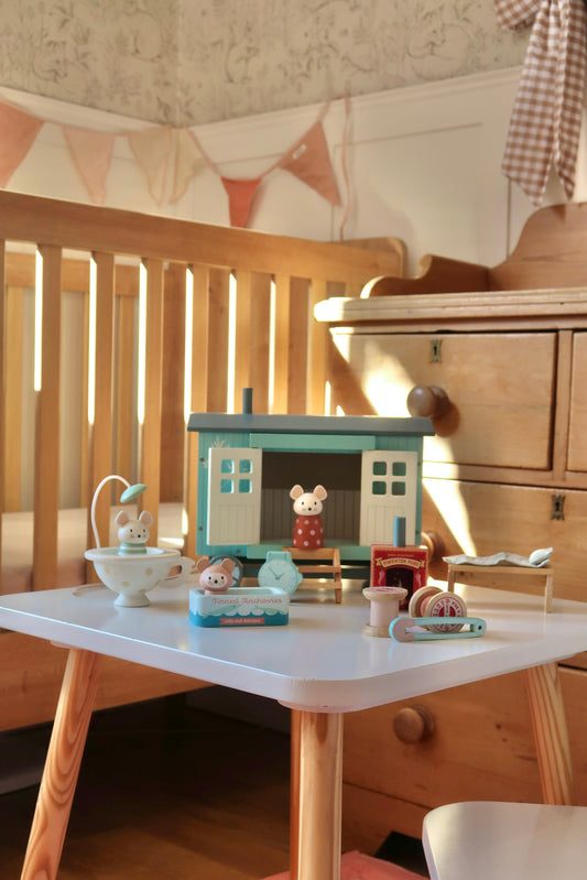 Spotlight On Tender Leaf Toys