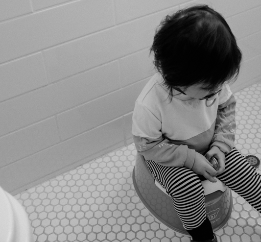 The Gentle Guide to Potty Training