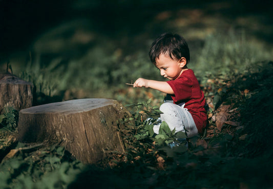 Nature Crafts for Kids Using What You Find Outdoors