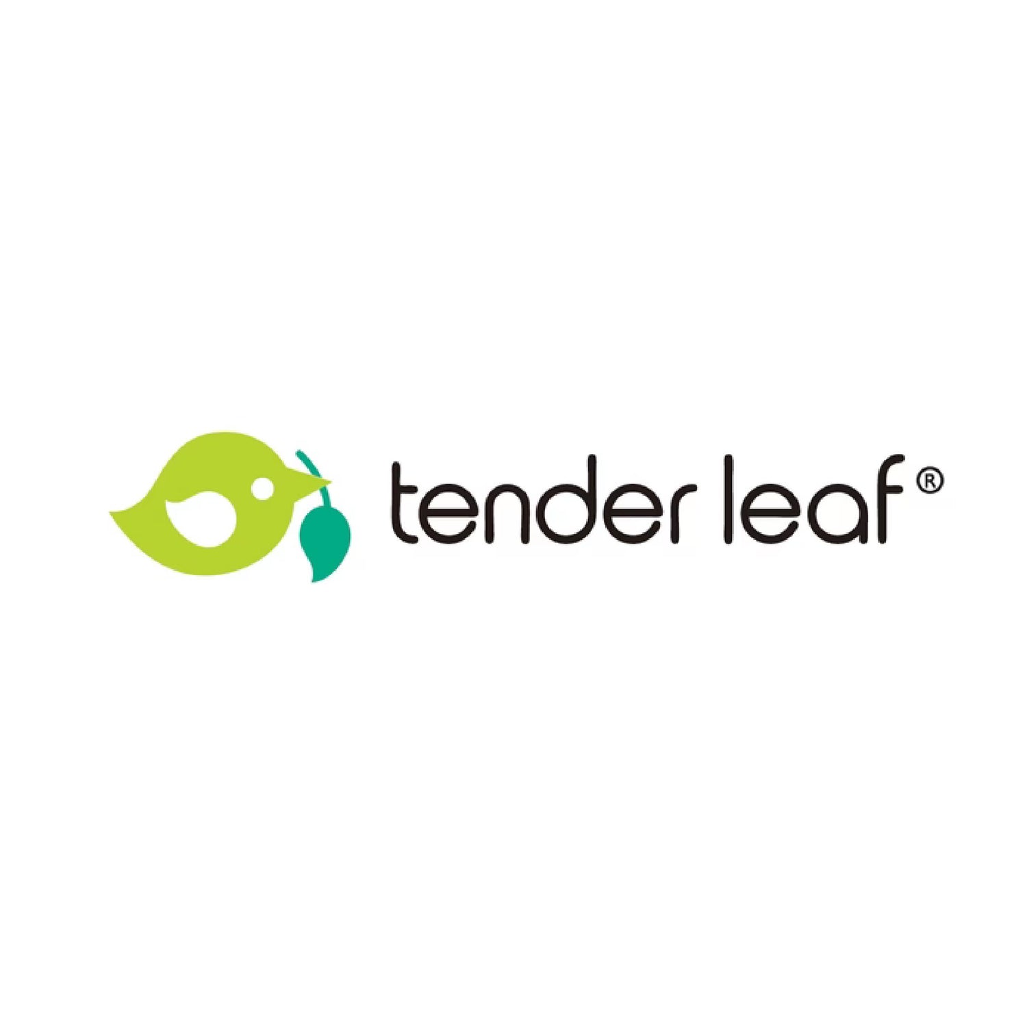 Tender Leaf Toys