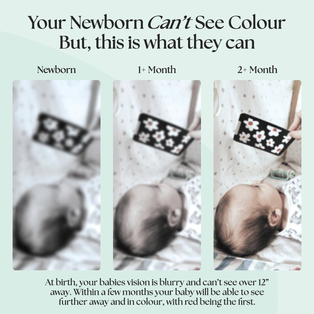Newborn Sensory Flash Cards 0+ Months | Mucky Wolf