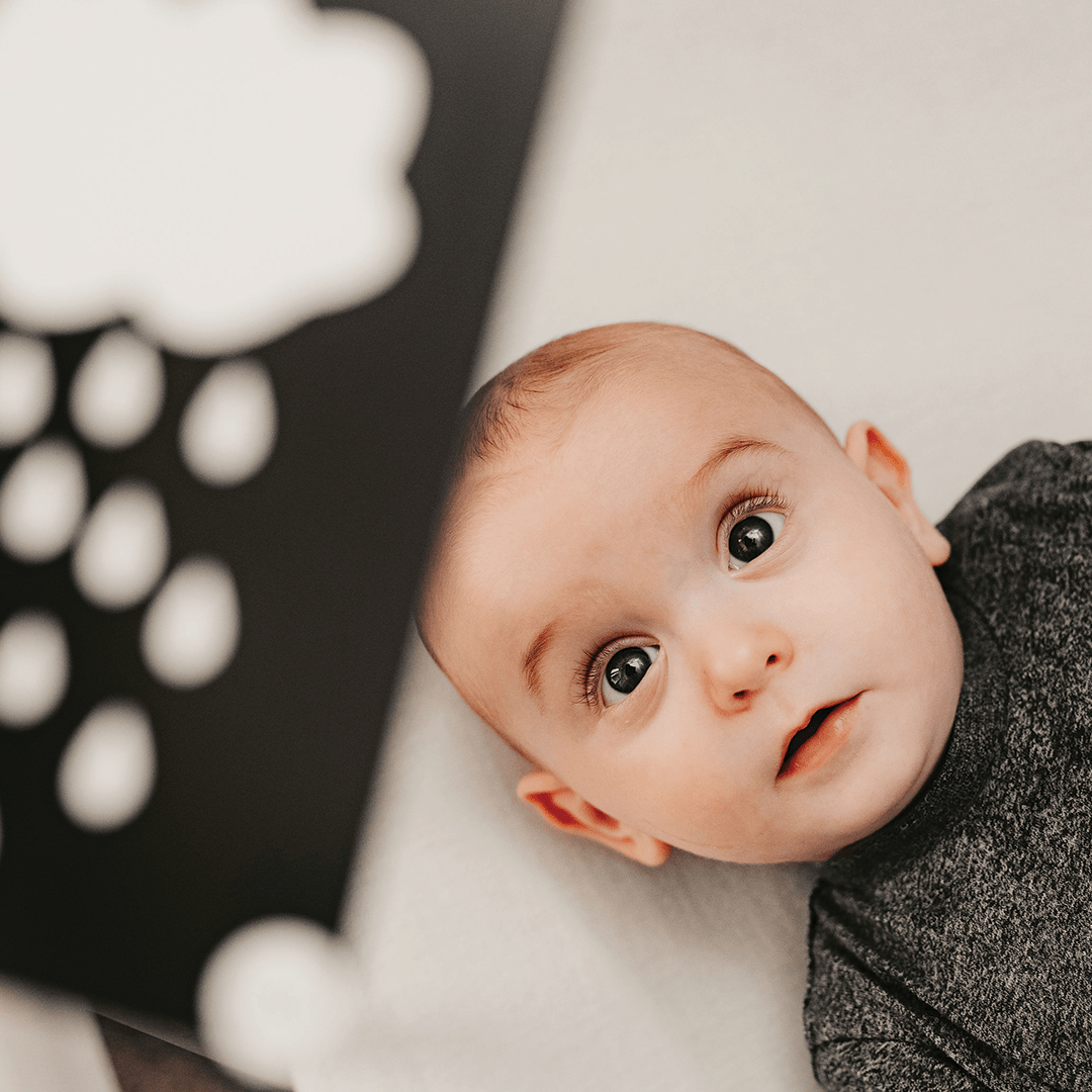 Baby Sensory Flash Card Bundle | Priya & Peanut | Mucky Wolf