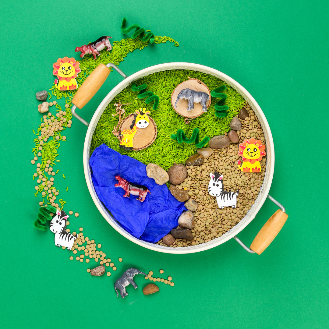 My Mini Maker Safari Activity Kit