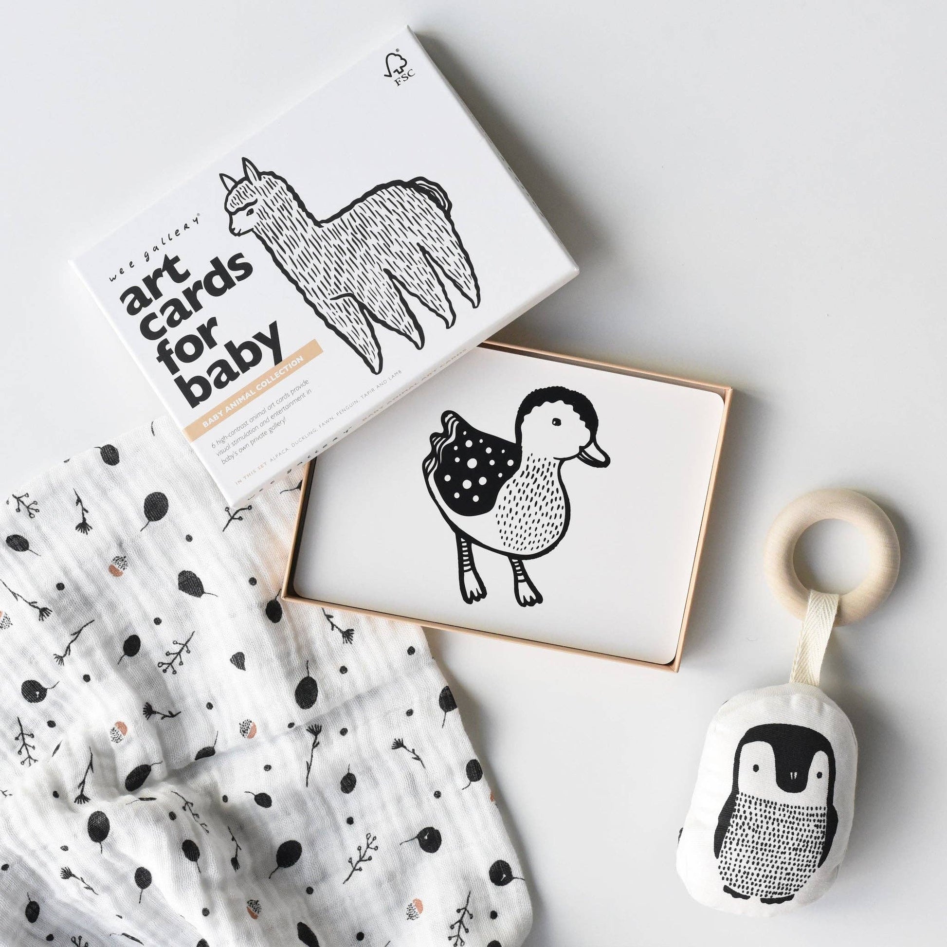 Wee Gallery Little Naturalist Gift Set - Baby Animals