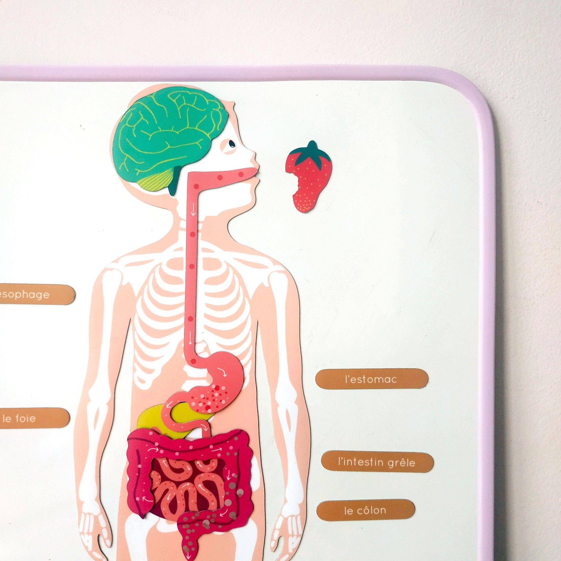 Magnetic Board for Childrens Playroom Lilac 