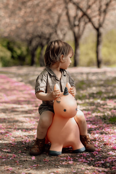 Bouncing Unicorn Hopper Toy