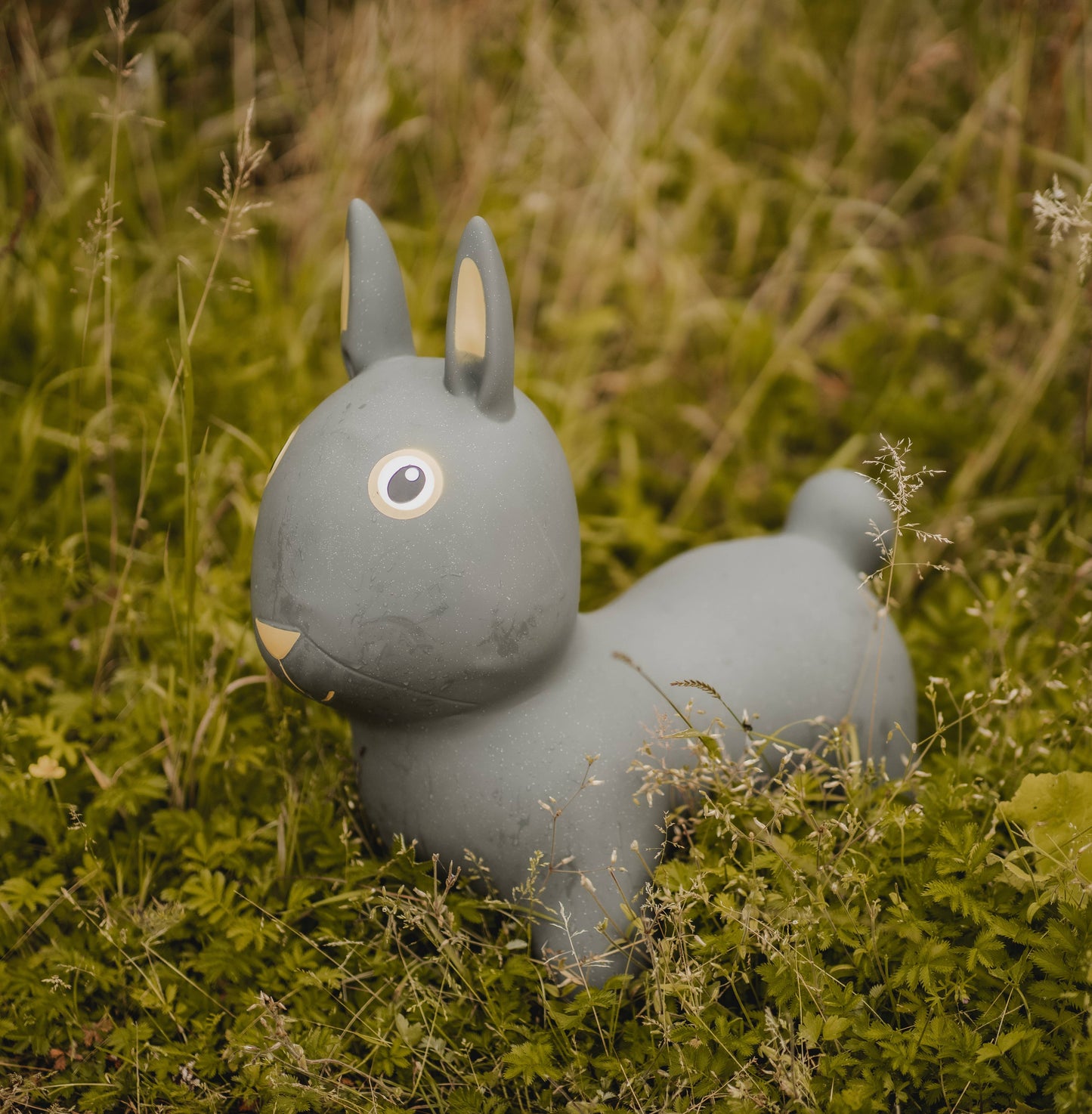 Bouncing Rabbit Hopper Toy