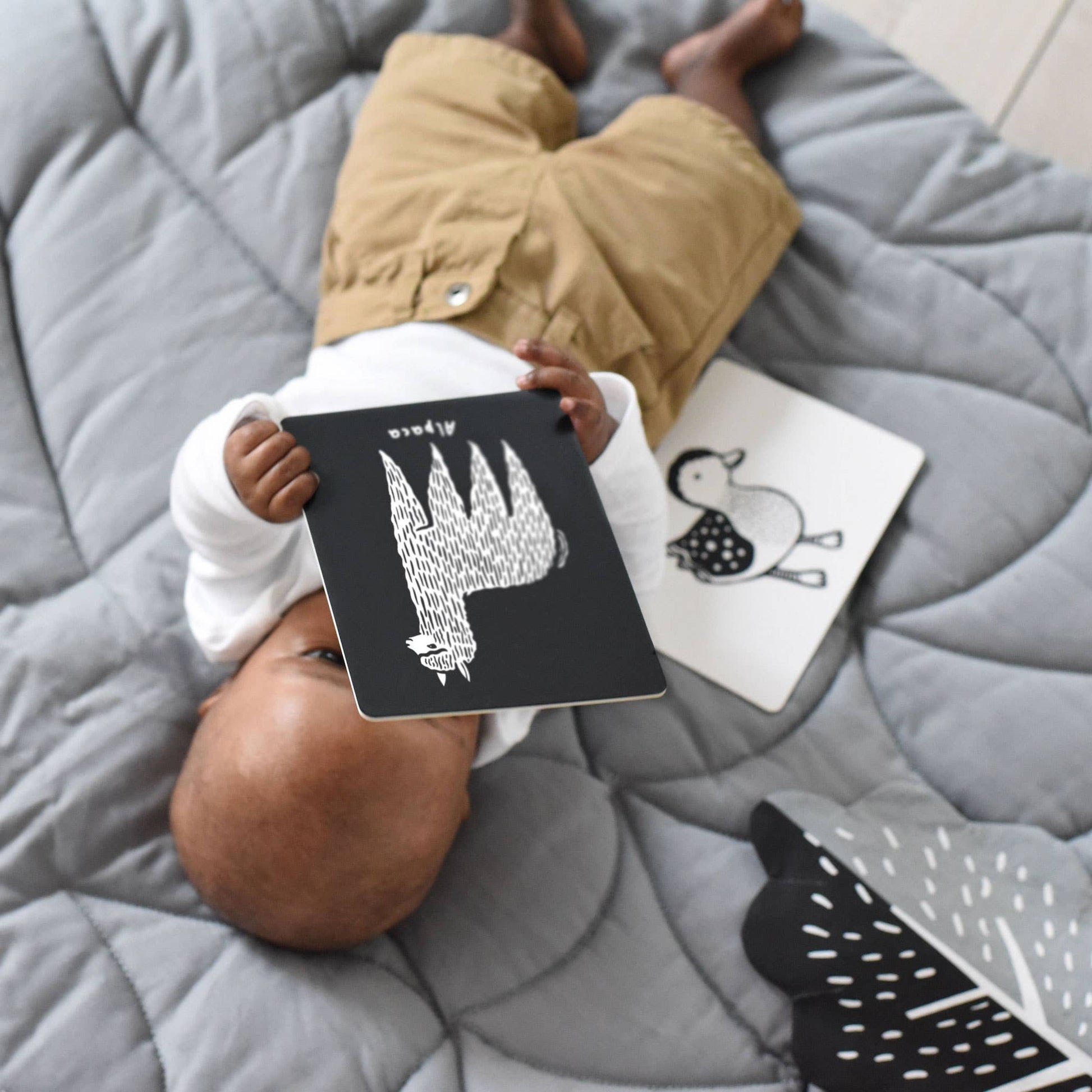 Wee Gallery Little Naturalist Gift Set - Baby Animals