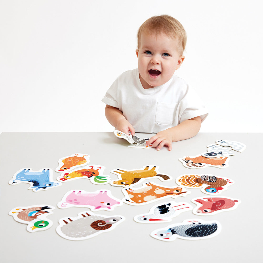 Child playing with animal-themed cards on a white surface