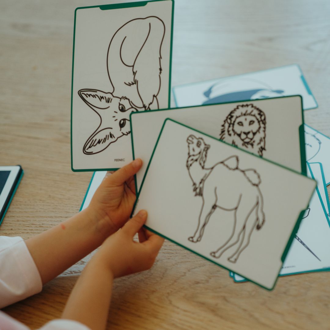 KIDYWOLF KIDYDRAW MINI Refill Cards – Animals & Ocean Pirates