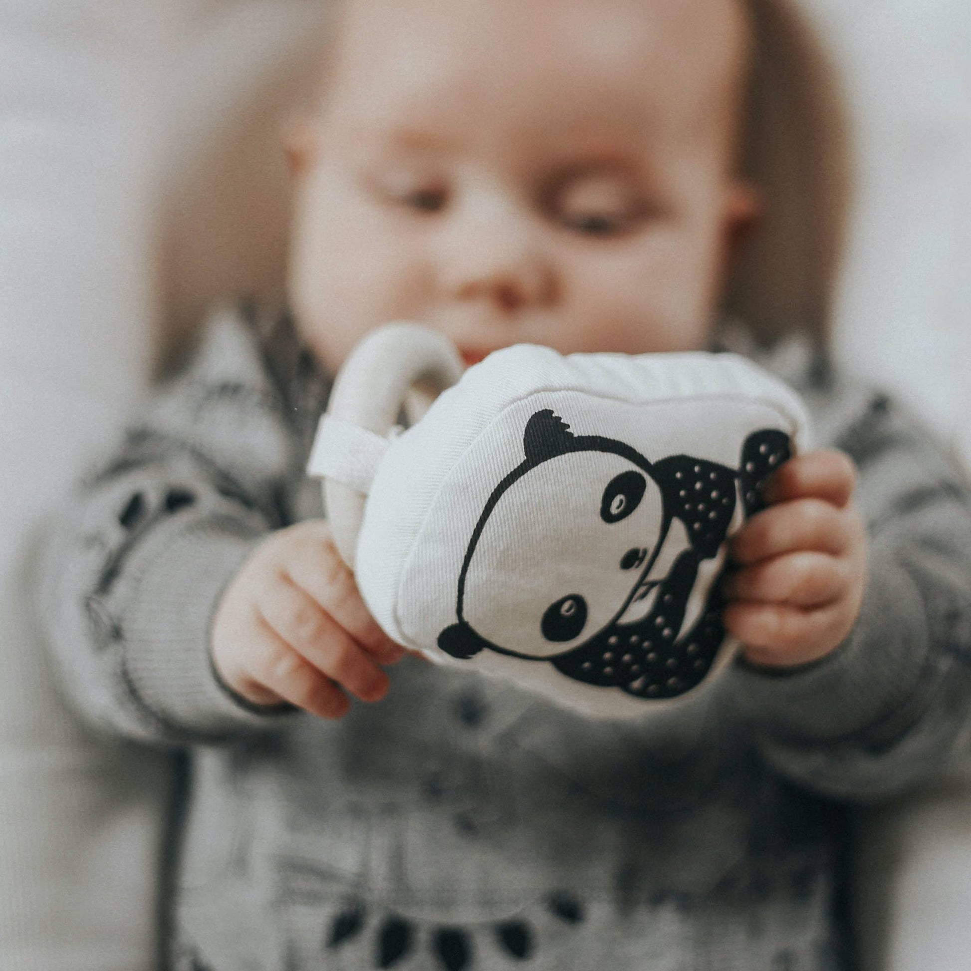 Wee Gallery Little Naturalist Gift Set 