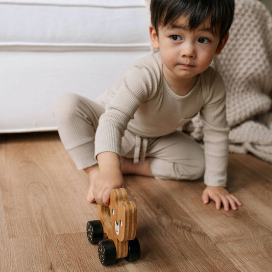 Push bear wooden toy for babies and toddlers