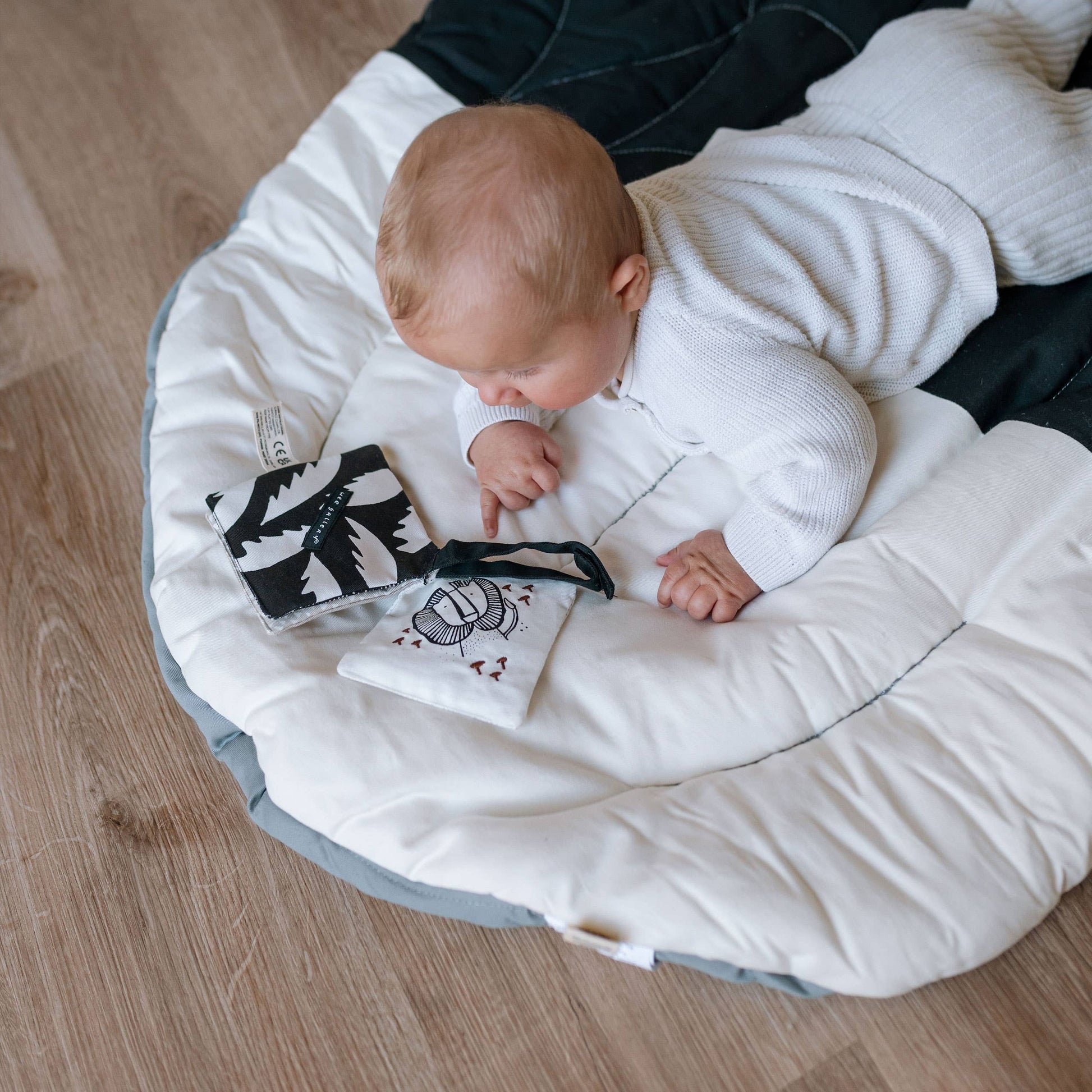 Toys For Babies Under 12 Months sensory toys black and white