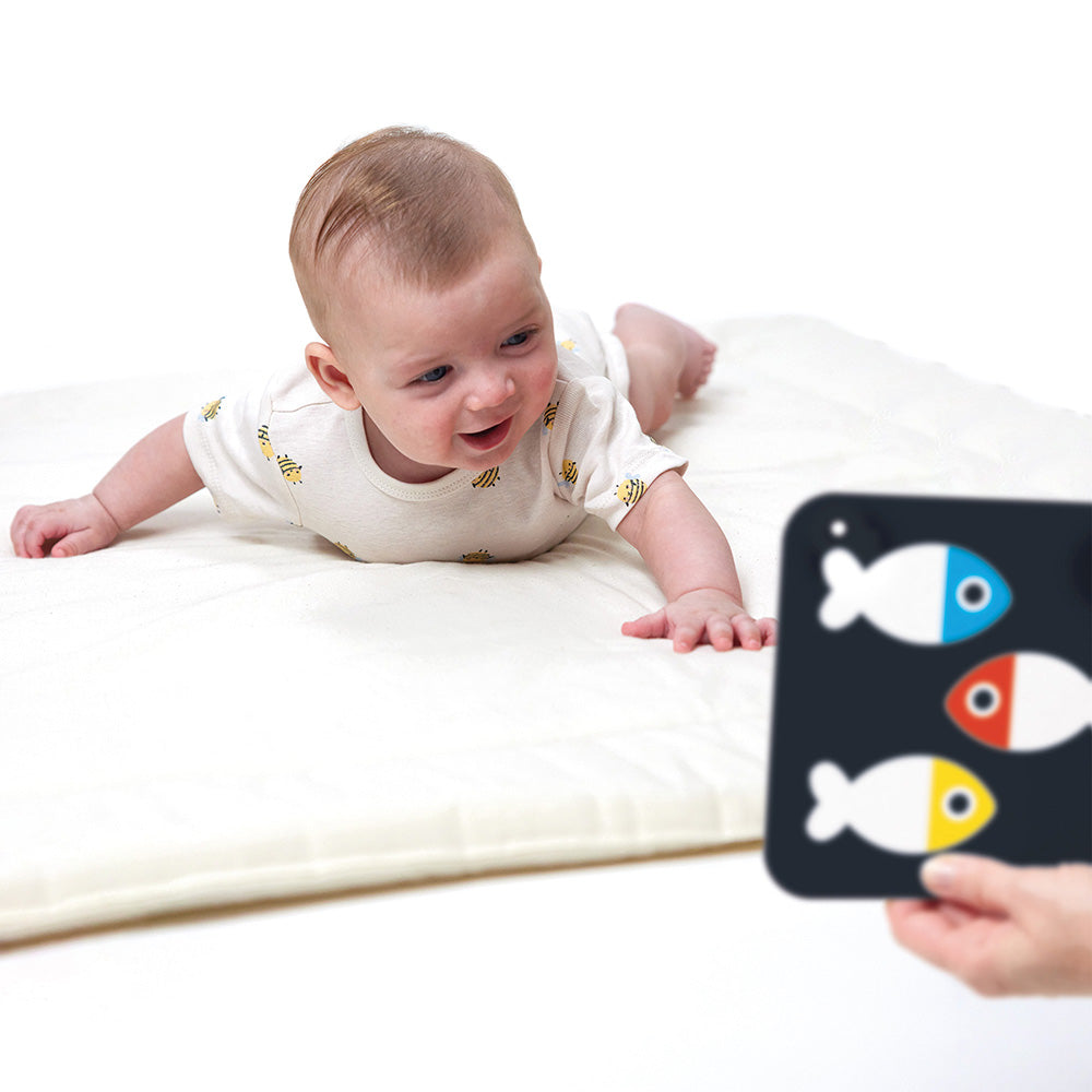 High Contrast Baby Cards for Newborns | Banana Panda