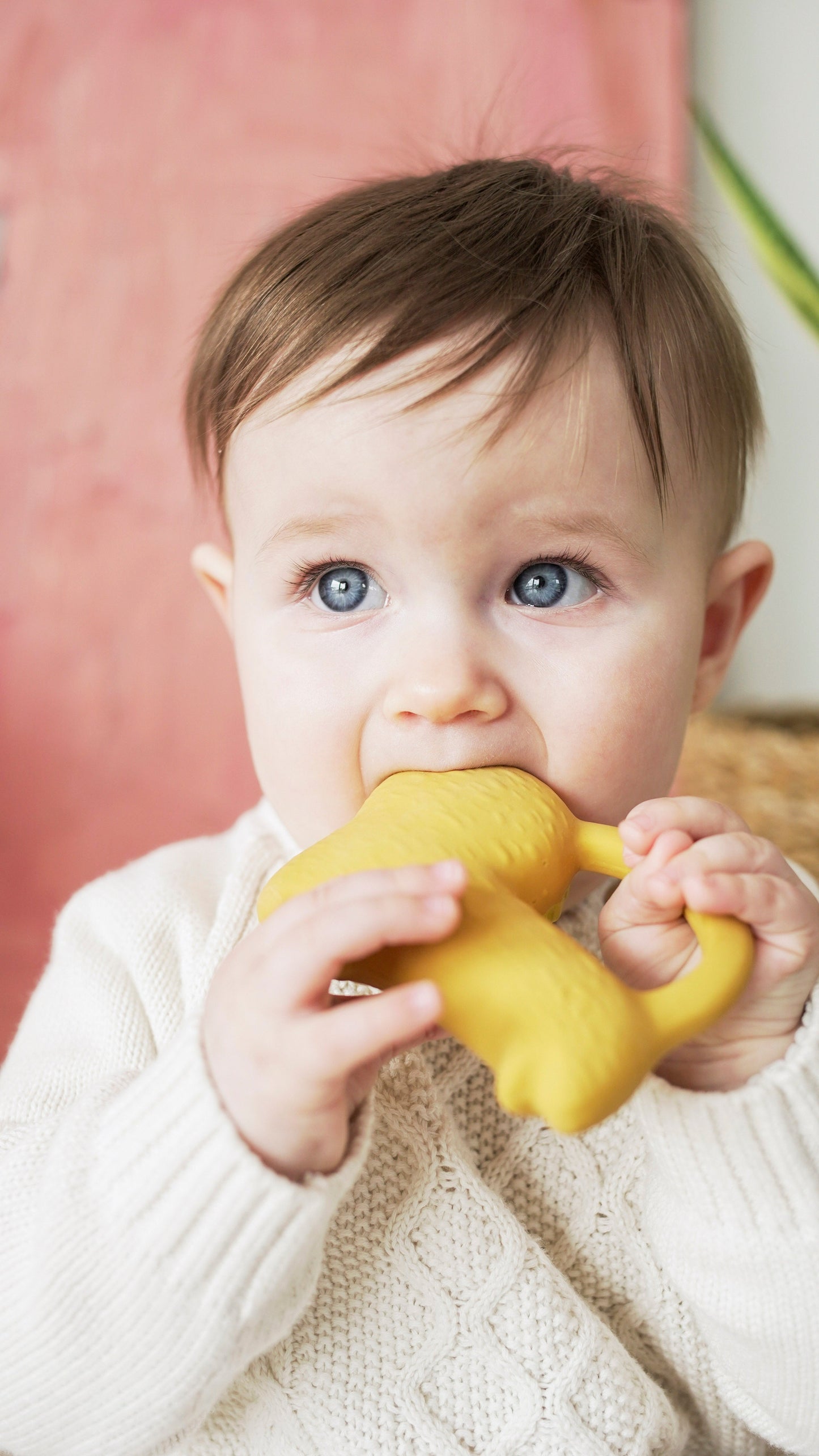 Oli & Carol x Donna Wilson Richie Lion Baby Teether