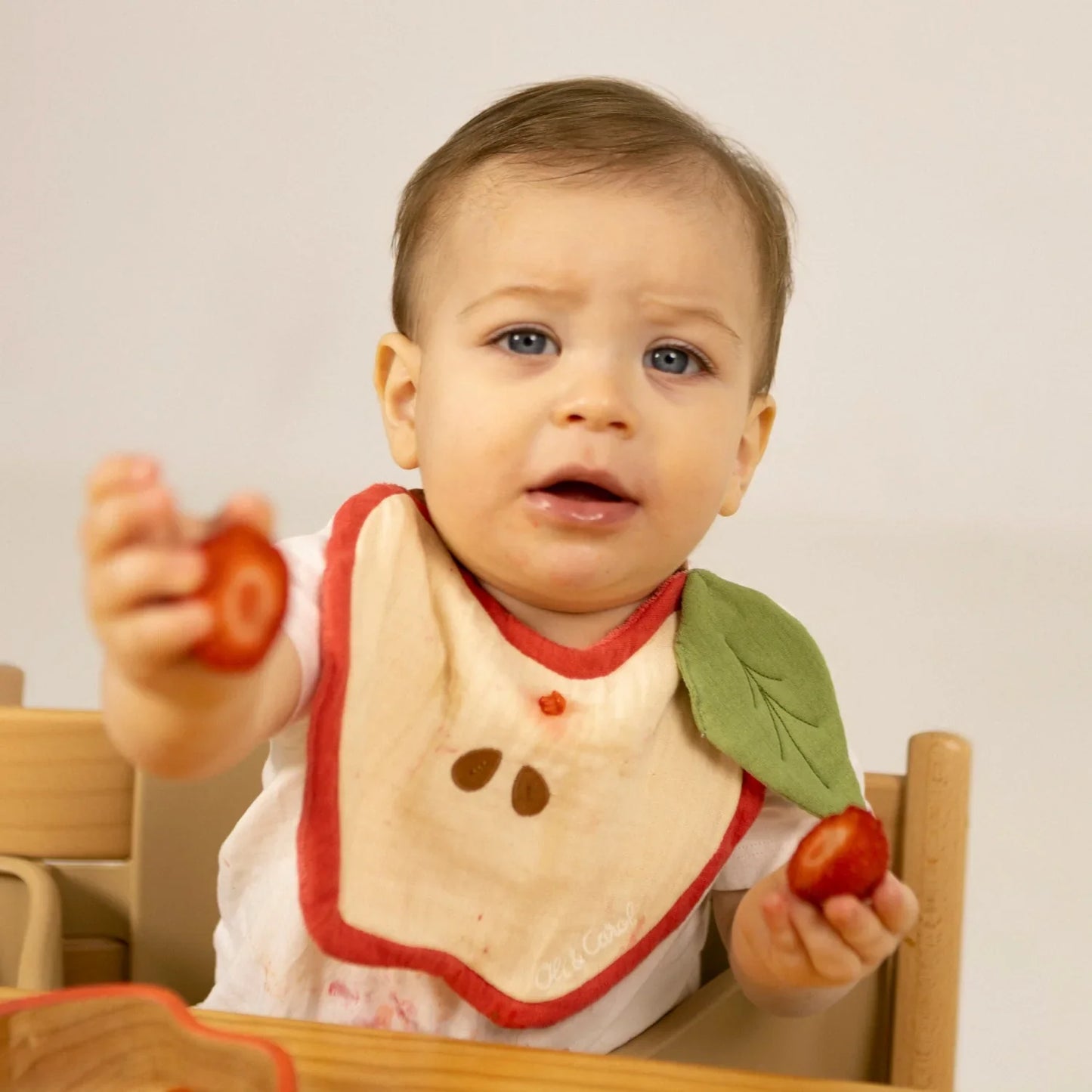 Apple Feeding Baby Bib - Organic