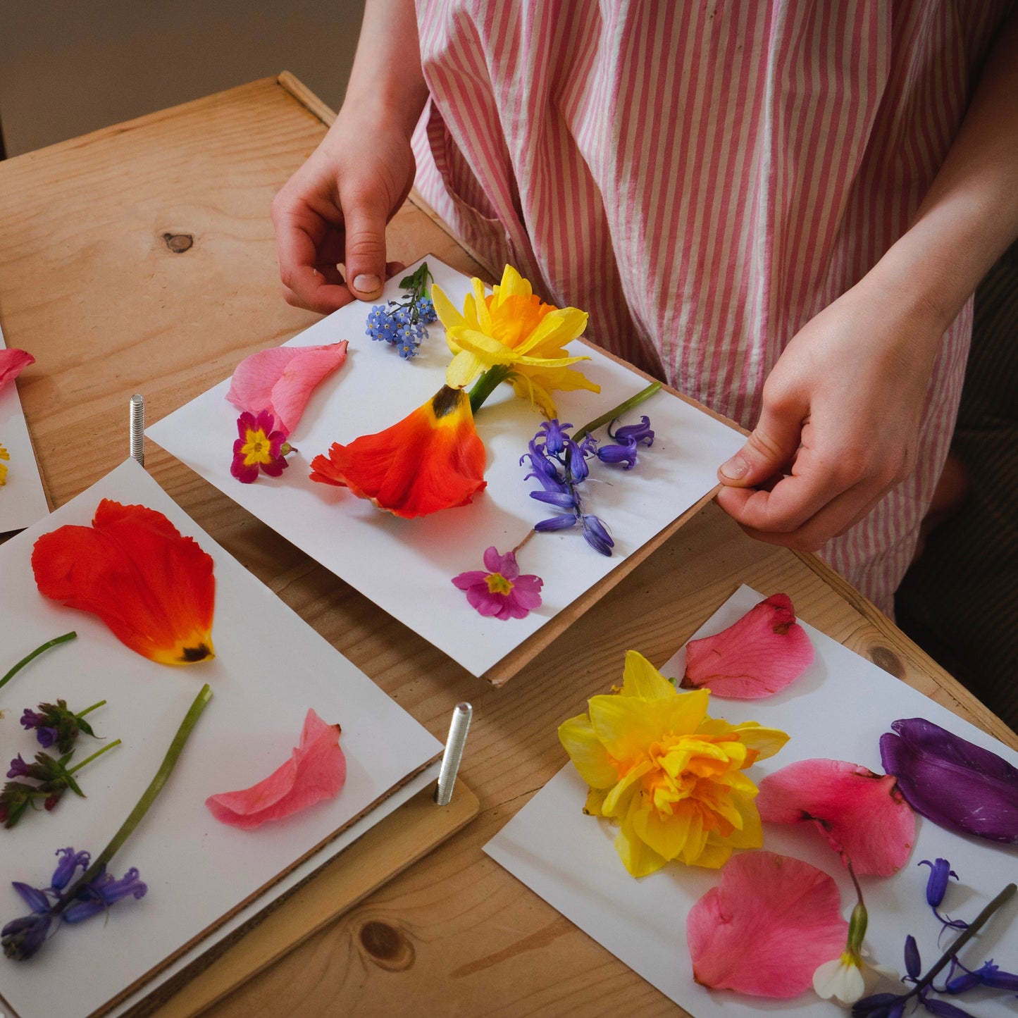Wooden Flower Press For Children - Tender Leaf Toys