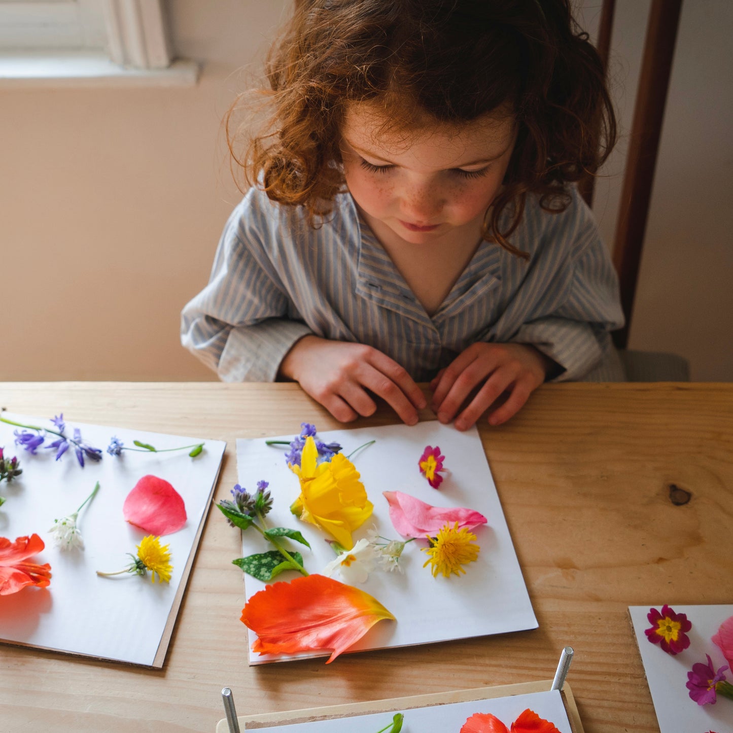 Wooden Flower Press For Children - Tender Leaf Toys