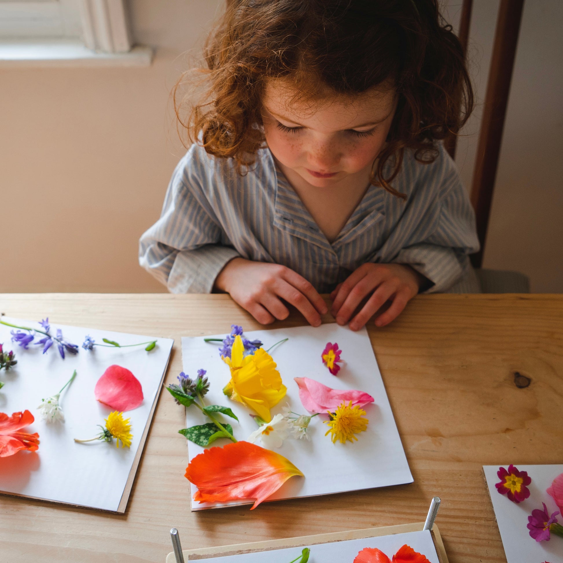 Wooden Flower Press For Children - Tender Leaf Toys