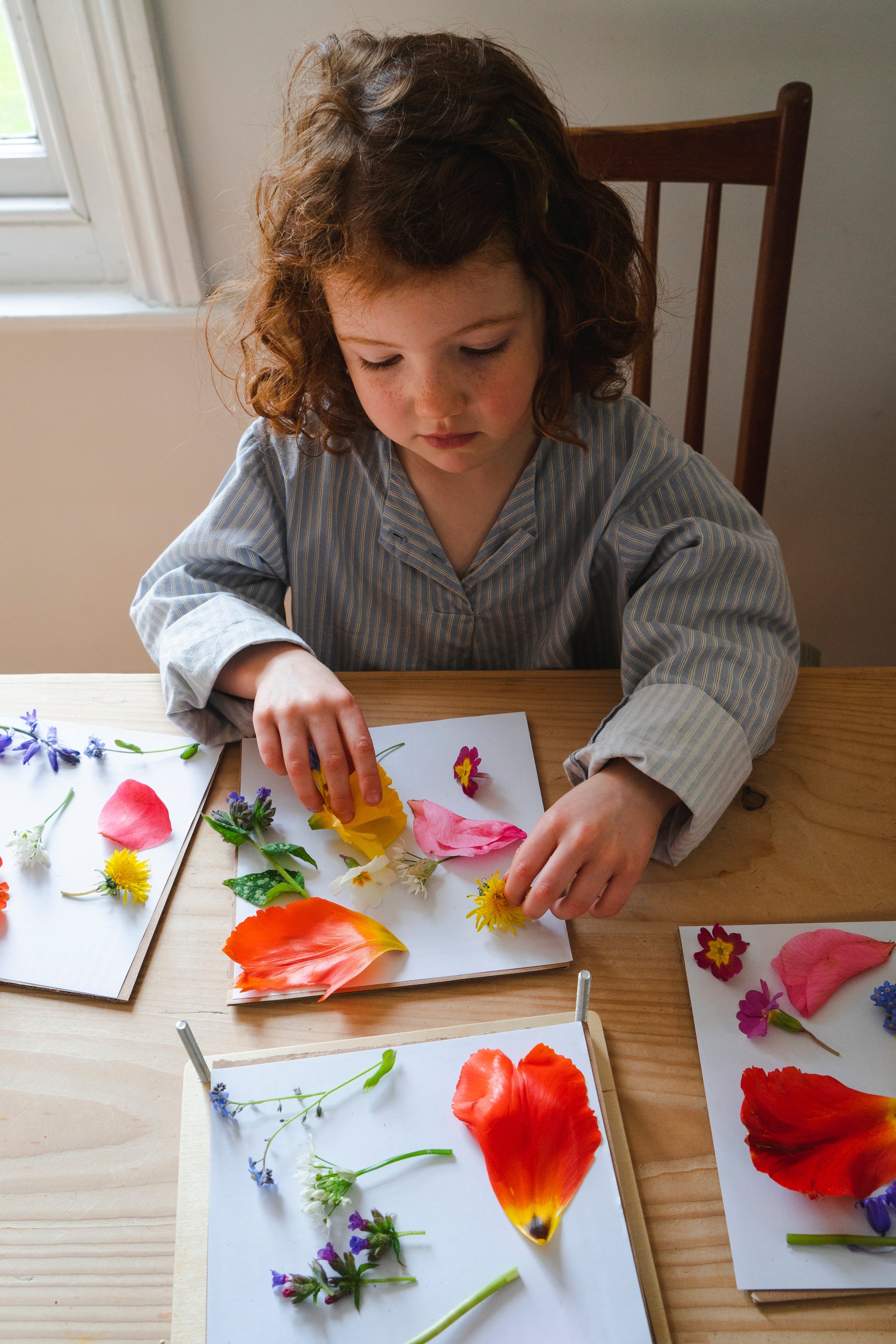 Wooden Flower Press For Children - Tender Leaf Toys