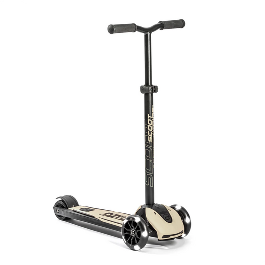 Scoot and Ride Highwaykick 5 in colour Ash