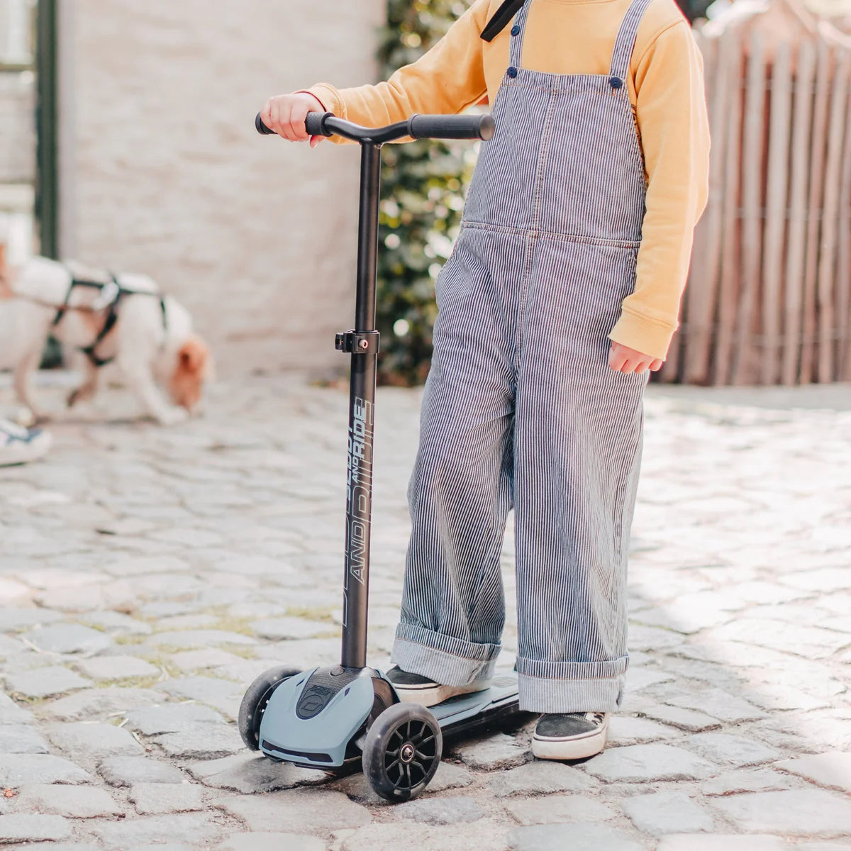 Scoot and Ride Highwaykick 5 in colour Steel