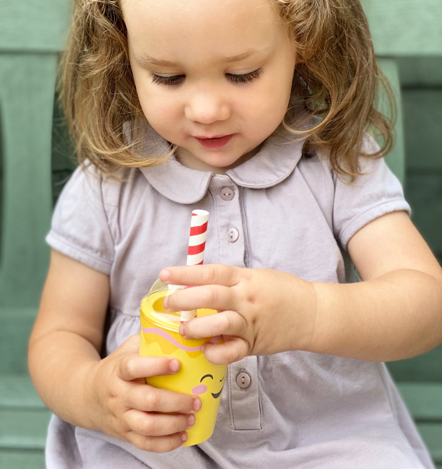 Fruity Blender Wooden Toy