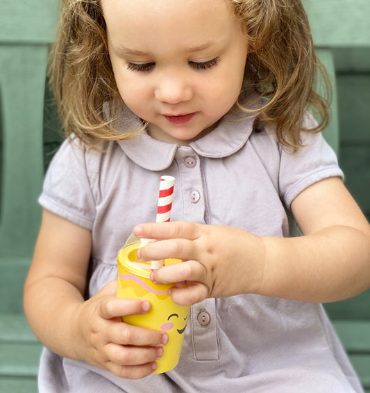 Fruity Blender Wooden Toy
