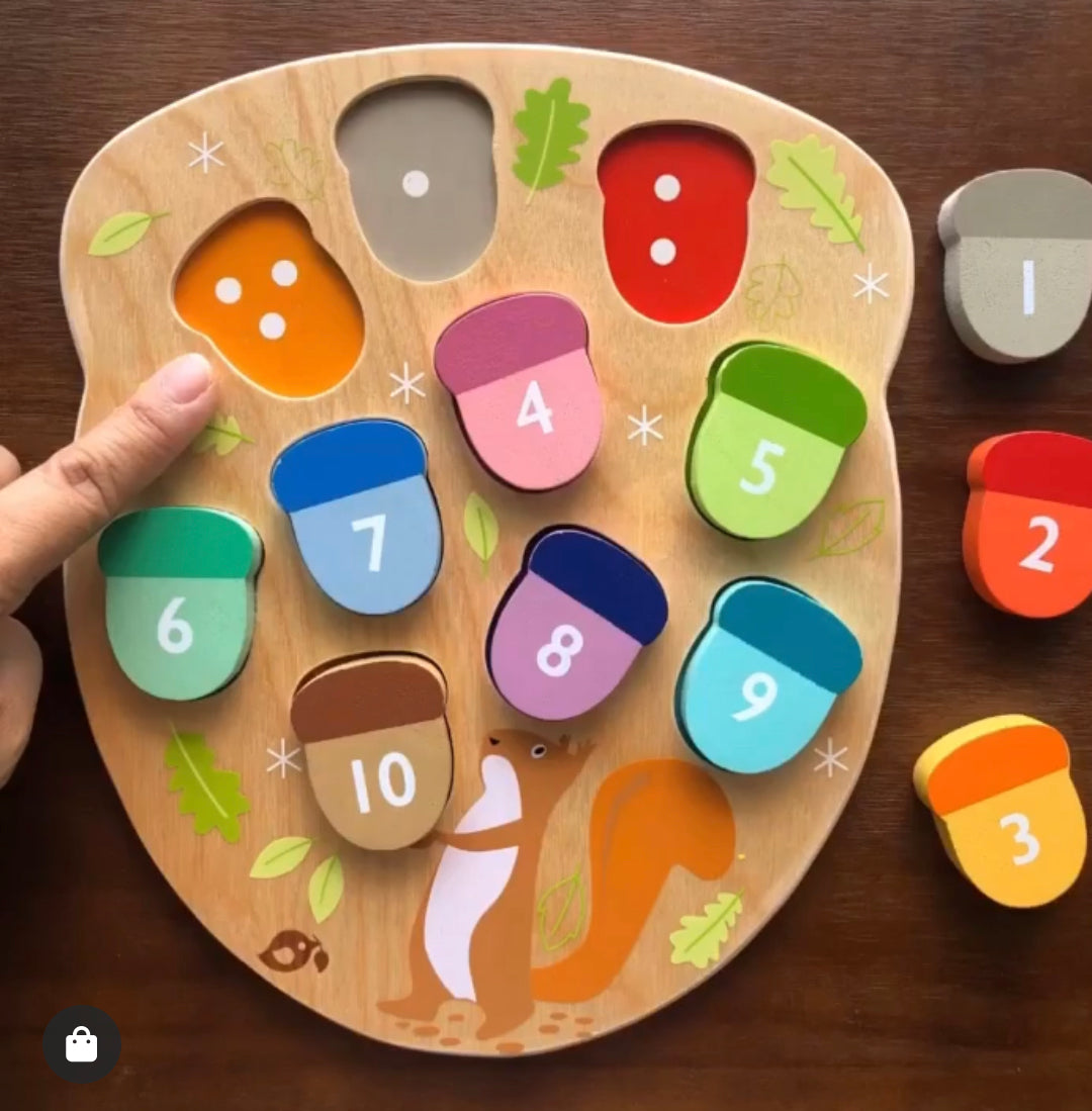 Wooden Acorn Counting Toy