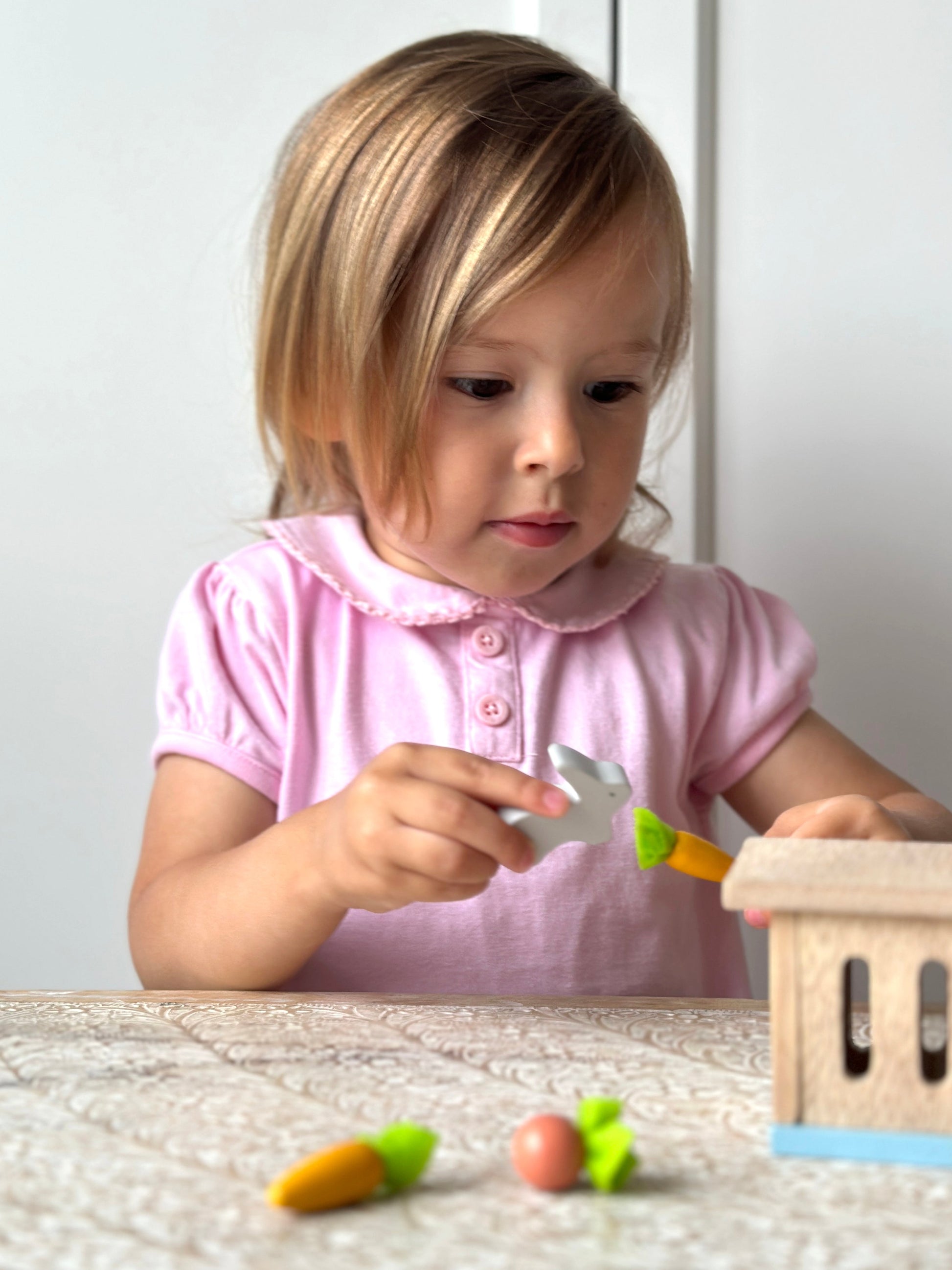 Wooden Rabbit Hutch Pet Set - Dolls House Accessory