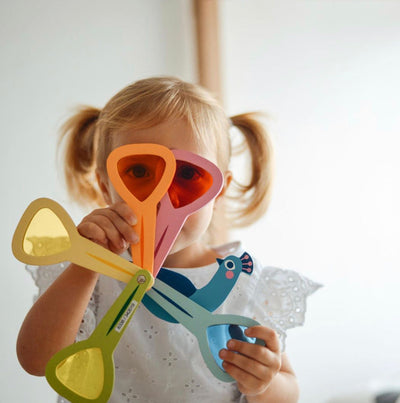 Rainbow Peacock Sensory STEM Toy For Ages 18 Months +