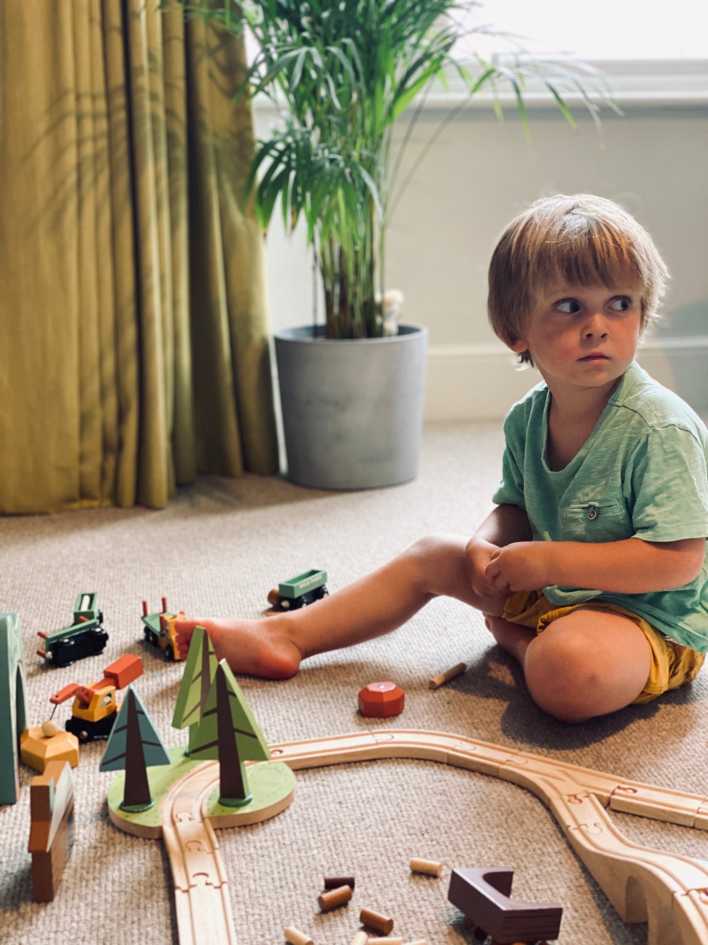 Tender Leaf Toys Wooden Wild Pines Train Set