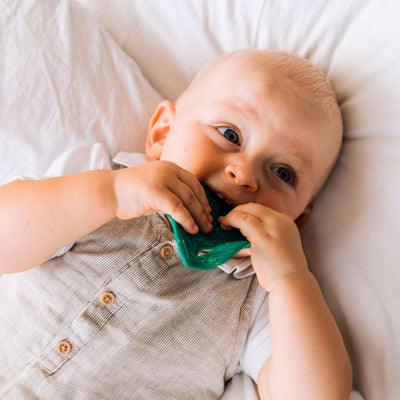 Natural Rubber Leaf Baby Teether – Oli & Carol Chlorophyll | Mucky Wolf