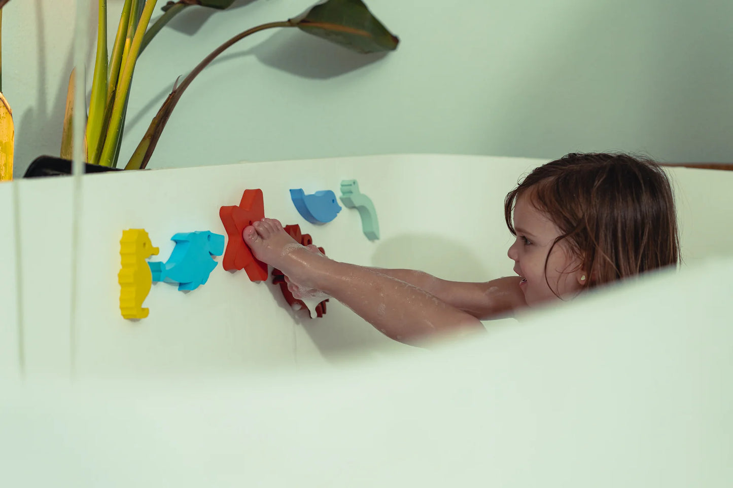MOES Waterfun Sealife Bath Toys