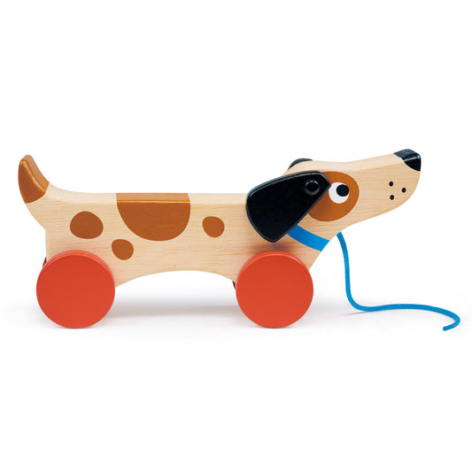  Wooden Puppy Pull Along Toy for Toddlers | Mucky Wolf
