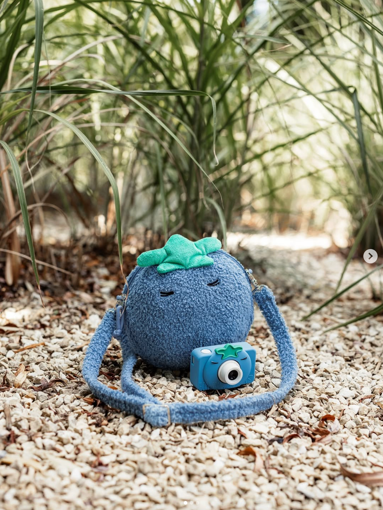 Hoppstar Rookie Bluebell Digital Camera + Fruit Bag Bundle